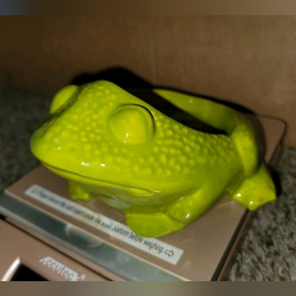 Green Frog Reptile Soap Dish Vintage